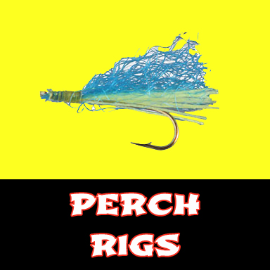 Perch Rigs