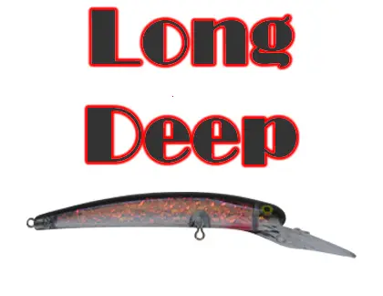 Long Deep