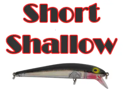 Short Shallow