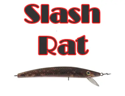 Slash Rat