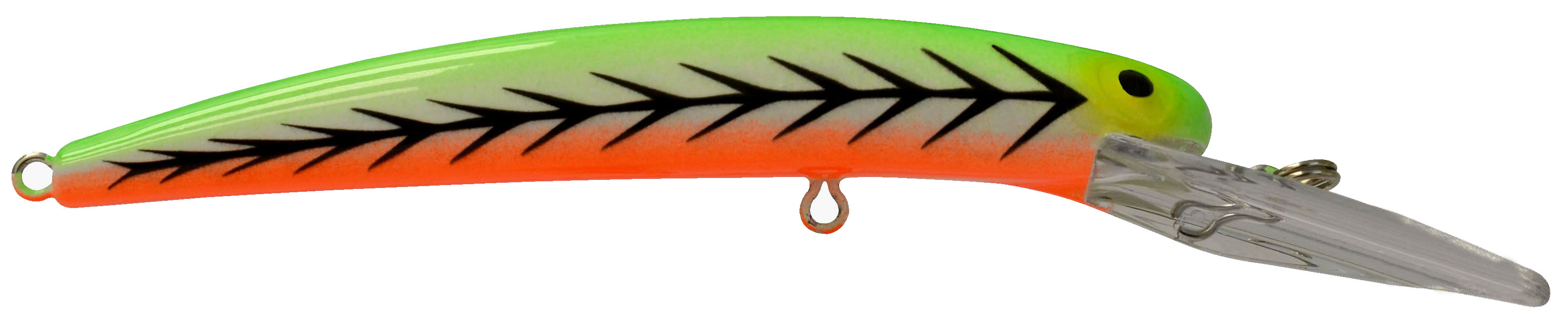 LD20903 Bayrat Loud Tiger