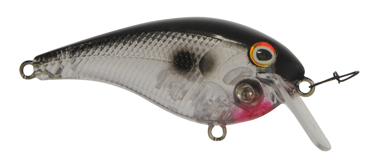 B21948 Bayrat Clear Shad