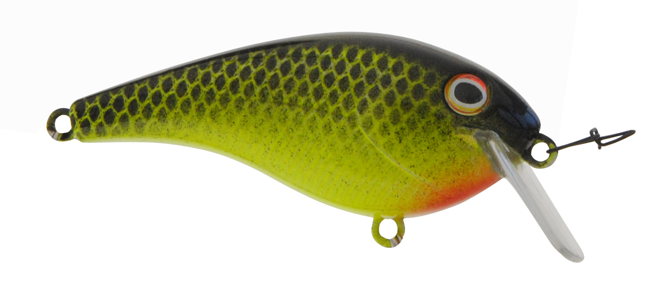 B21979 Bayrat Black/Chartreuse