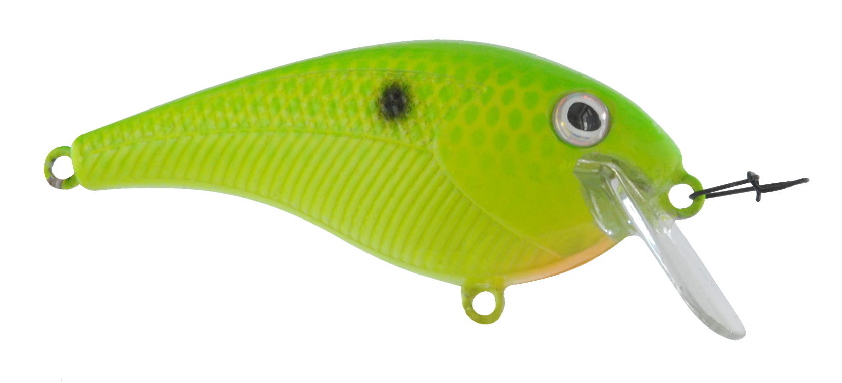 B22044 Bayrat Lemon Lime