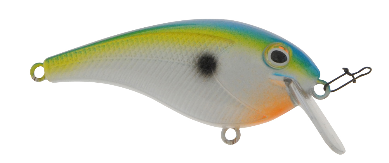 B22068 Bayrat Feisty Shad