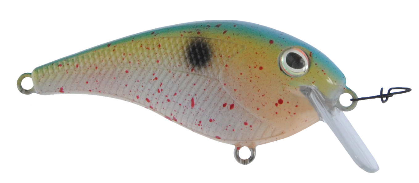 B22075 Bayrat Feisty Splatter Sh