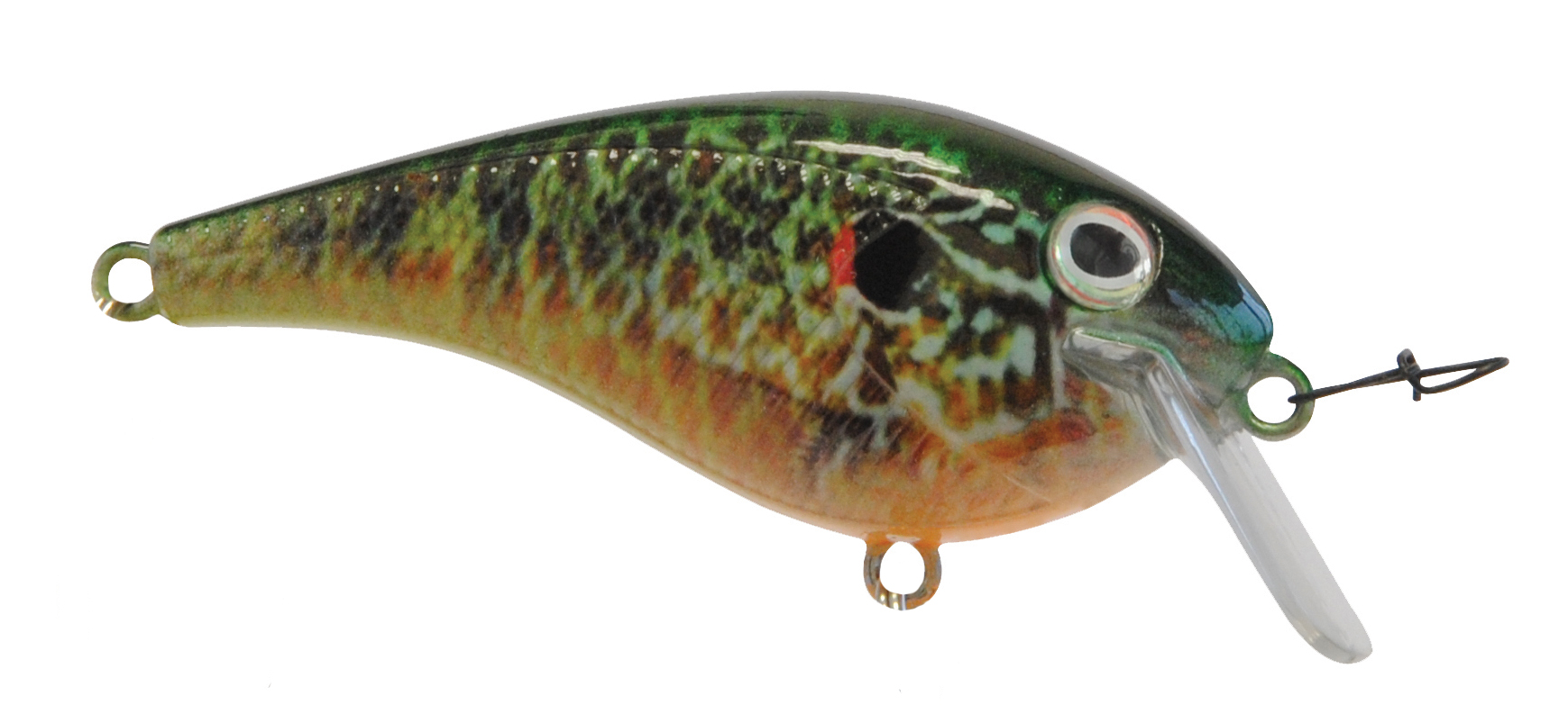 B22082 Bayrat Pumpkinseed