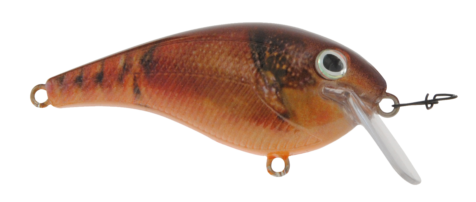 B22099 Bayrat Real Craw