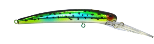 LD23263 Bayrat Calico Bass