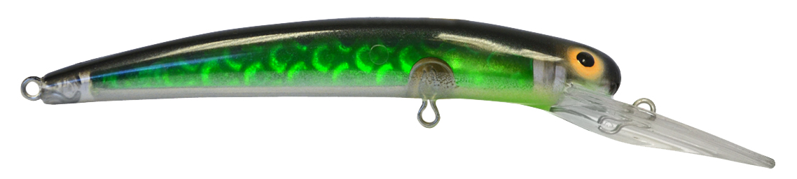 LD23294 Bayrat Garter Snake