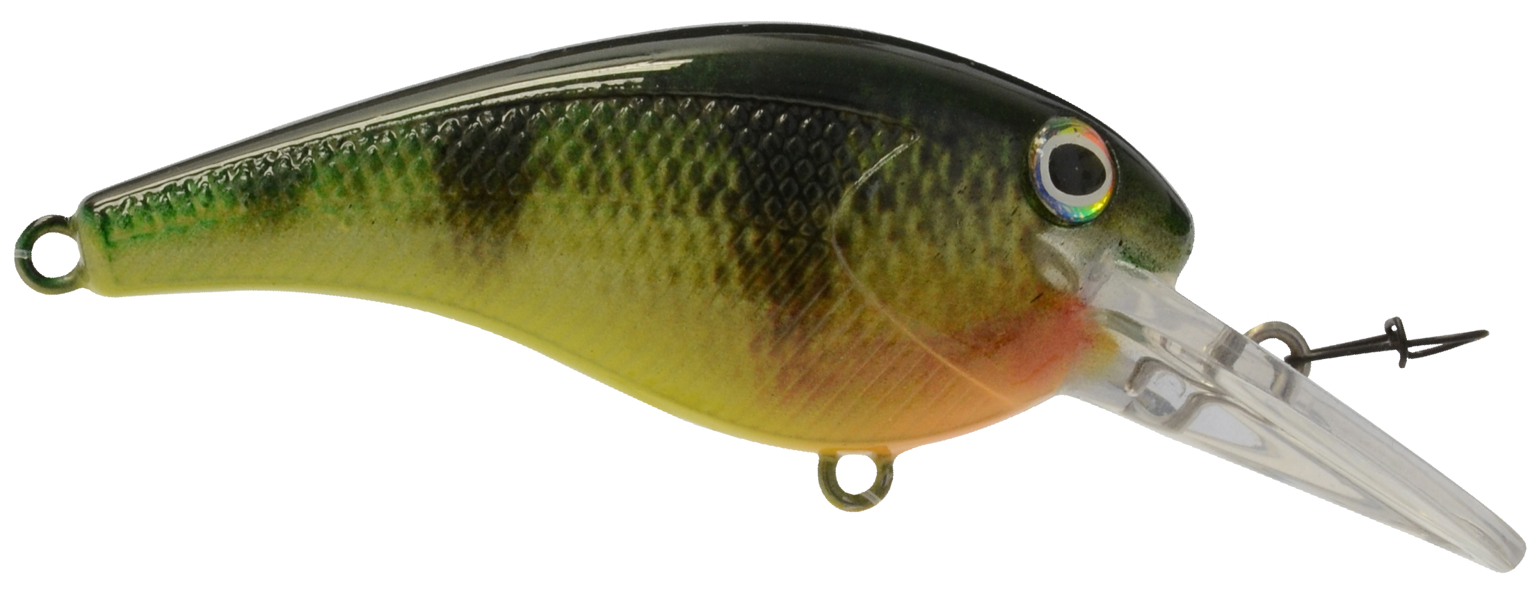 BMD24543 Bayrat Perch