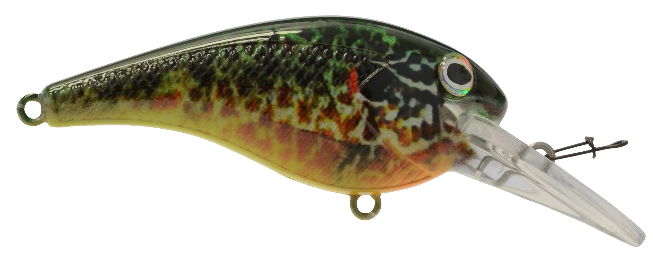 BMD24550 Bayrat Pumpkinseed