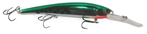 GREEN HUCKELBERRY- BANDIT