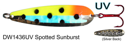 DW1436 UV Spotted Starburst