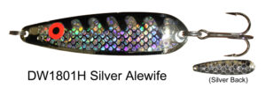 DW 1801H Silver Alewife