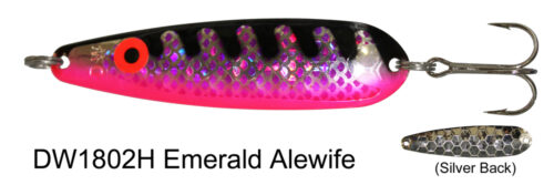 DW 1802H Emerald Alewife