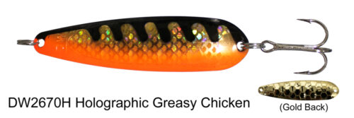 DW 2670H Holographic Greasy Chic