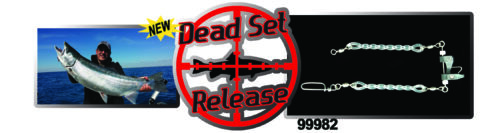 99982 Dead Set Release