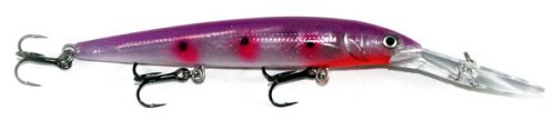 PURPLE RAINRAINBOW-BANDIT