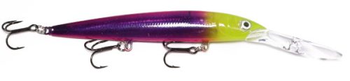 P10-WICKED TUNA