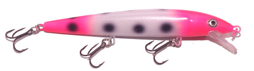 PINK SQUIRRELRAINBOW-BANDIT