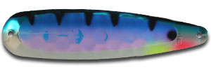 MG172N BLUE PERCH