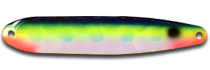 FL324N BLUE FIN TUNA