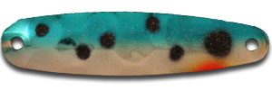 LW30-C BLUE HUCKELBERRY