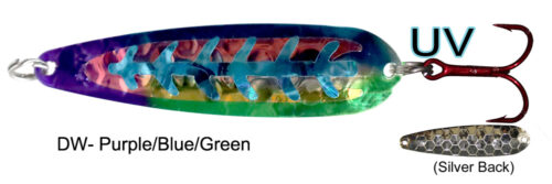 Limited Edition-DW Blue/Purp/Gre