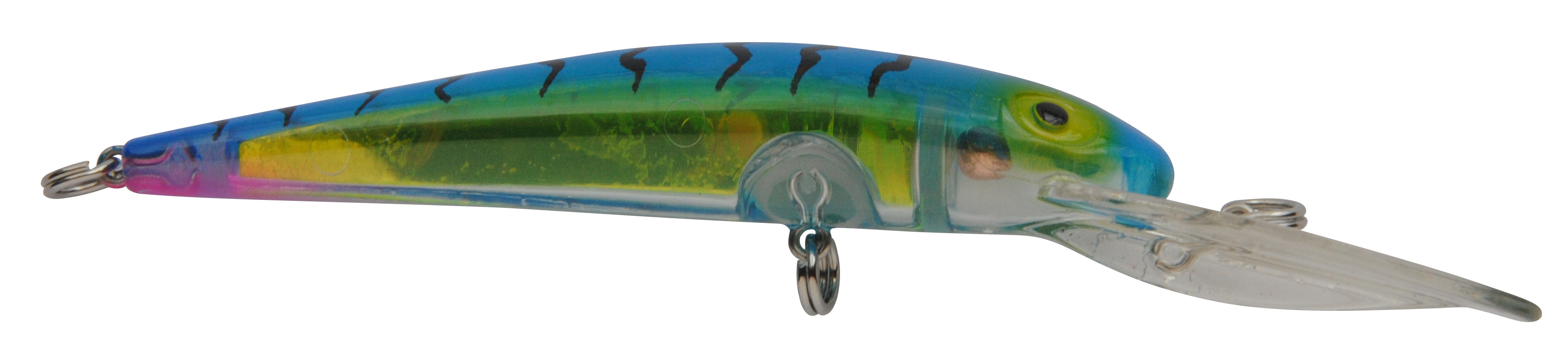 SD20590 Bayrat Blue Tiger