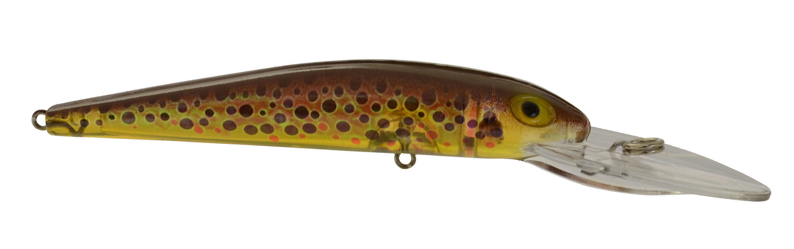 SD22792 Bayrat- Brown Trout