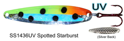 SS1436 UV Spotted Starburst