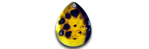 CB5-113G  3 PK/#113 GOLD SHAD GO