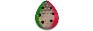 CB6-19G  3 PK/#19 WATERMELON GOL