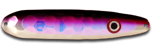 XL162N PURPLE ALEWIFE